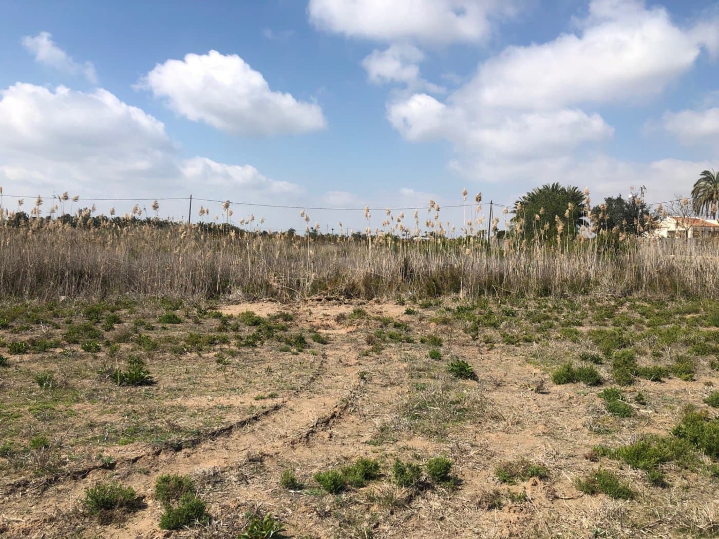 Finca/Herregård til salgs i Elche / Elx - € 85 000 (Ref: 9879021)