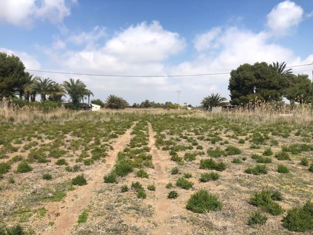Finca/Herregård til salgs i Elche / Elx - € 85 000 (Ref: 9879021)