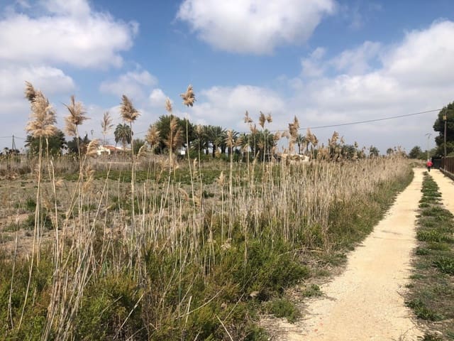 Finca/Herregård til salgs i Elche / Elx - € 85 000 (Ref: 9879021)