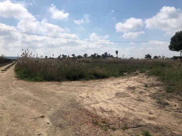 Finca/Herregård til salgs i Elche / Elx - € 85 000 (Ref: 9879021)