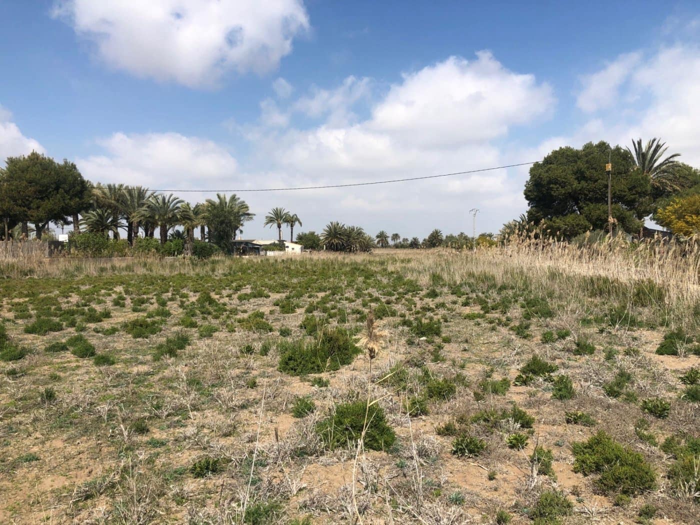 Finca/Herregård til salgs i Elche / Elx - € 85 000 (Ref: 9879021)