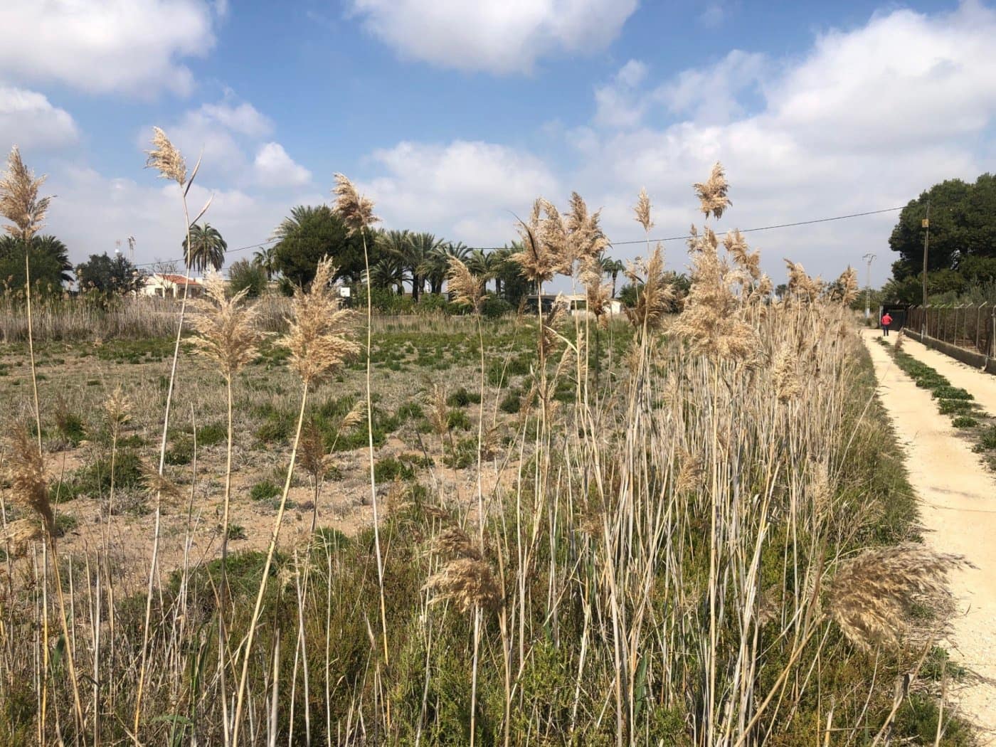 Finca/Herregård til salgs i Elche / Elx - € 85 000 (Ref: 9879021)