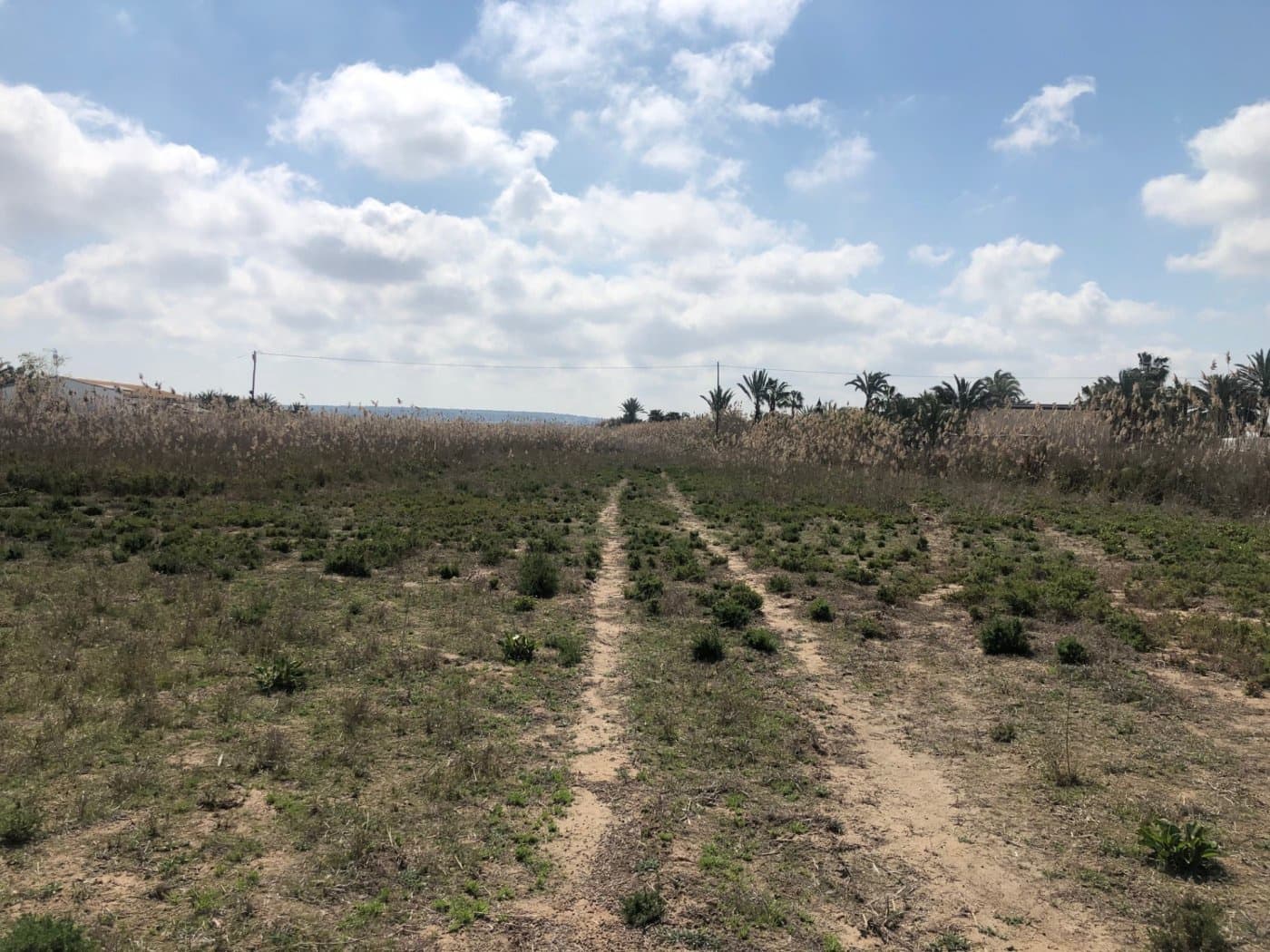 Finca/Herregård til salgs i Elche / Elx - € 85 000 (Ref: 9879021)