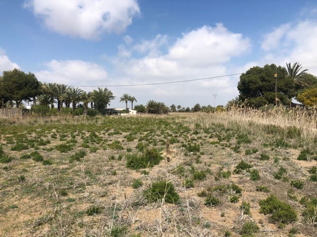 Finca/Herregård til salgs i Elche / Elx - € 85 000 (Ref: 9879021)