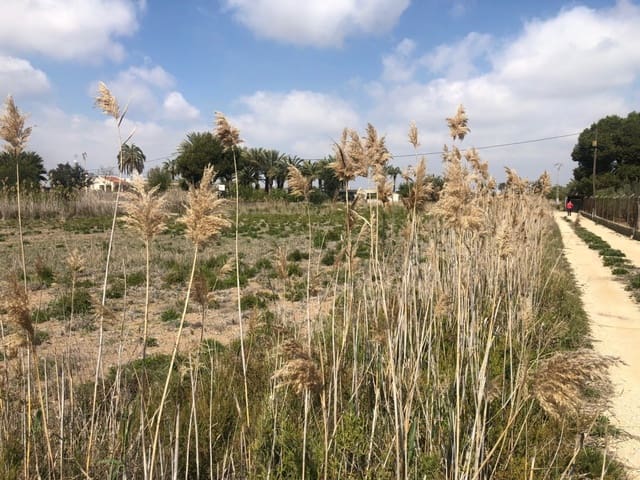 Finca/Herregård til salgs i Elche / Elx - € 85 000 (Ref: 9879021)