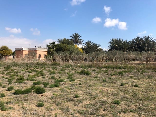 Finca/Herregård til salgs i Elche / Elx - € 85 000 (Ref: 9879021)