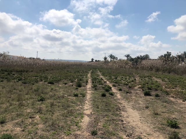 Finca/Herregård til salgs i Elche / Elx - € 85 000 (Ref: 9879021)
