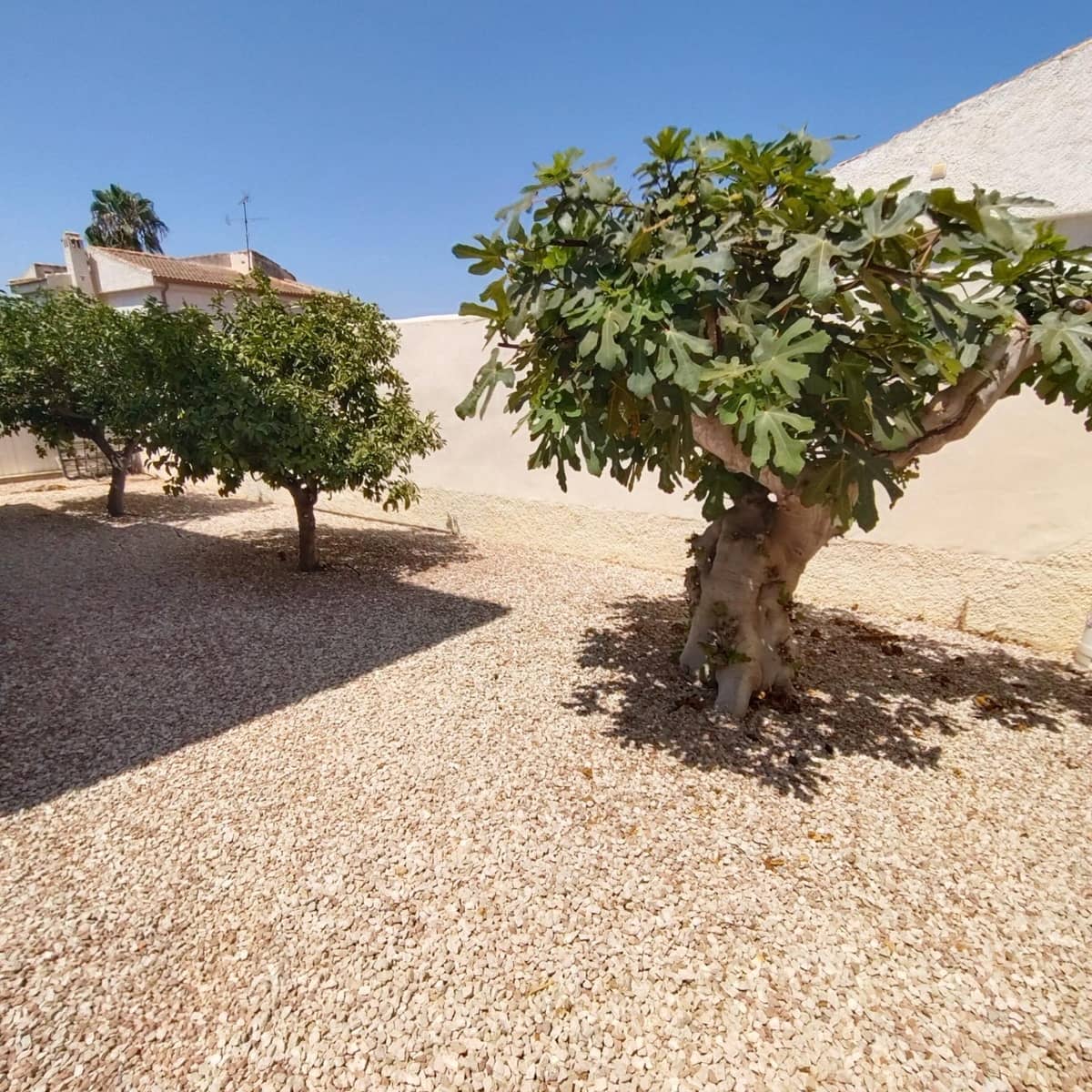 5 slaapkamer Villa te koop in La Siesta met zwembad garage - € 460.000 (Ref: 9994413)