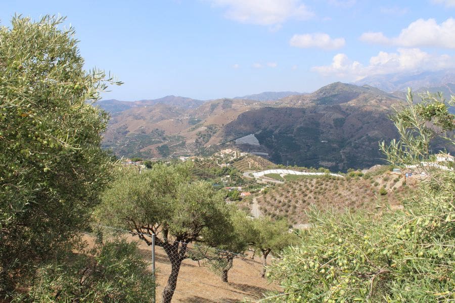 Chalet de 4 habitaciones en Itrabo en venta - 375.000 € (Ref: 9491276)