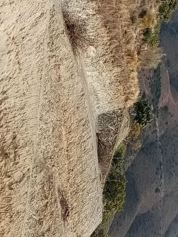 Grond te koop in La Herradura, Almuñécar - € 39.900 (Ref: 9783067)