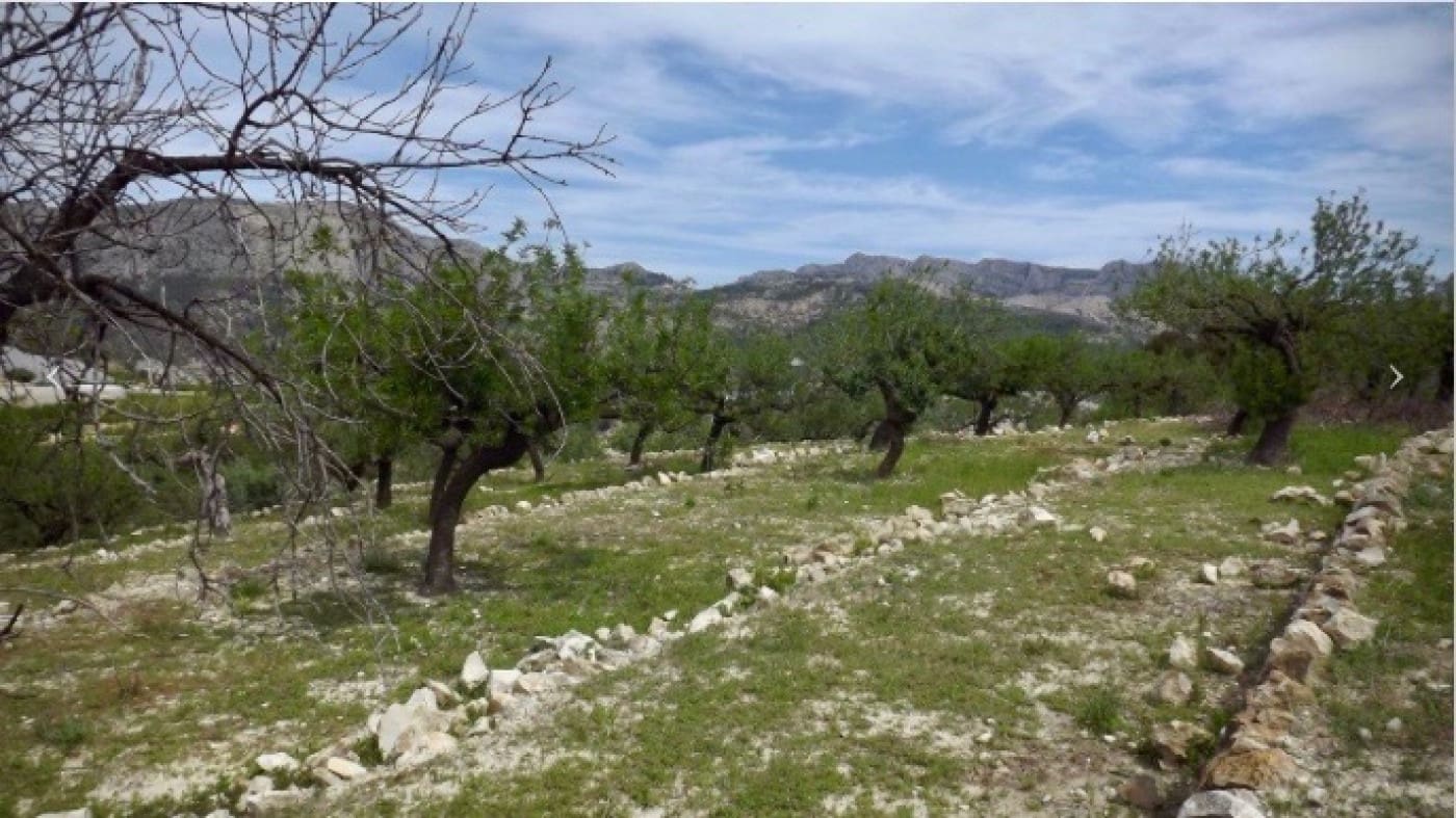 Tomt till salu i Callosa d'En Sarria - 122 000 € (Ref: 9241086)