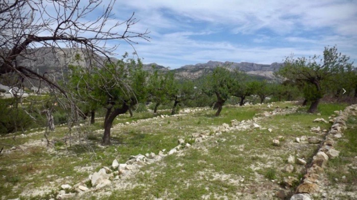 Tomt till salu i Callosa d'En Sarria - 122 000 € (Ref: 9241086)