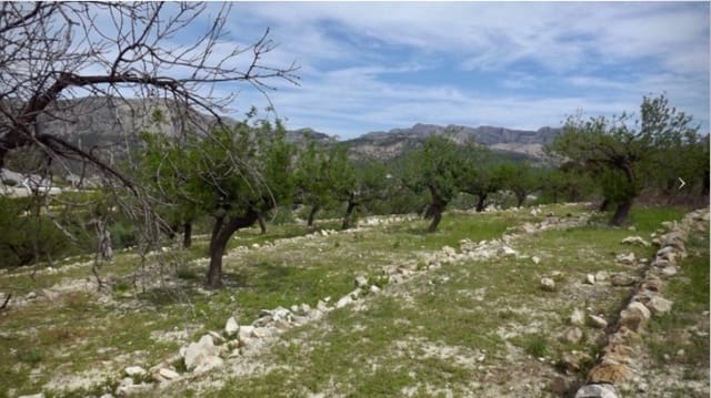 Bouwgrond te koop in Callosa d'En Sarrià - € 122.000 (Ref: 9241086)