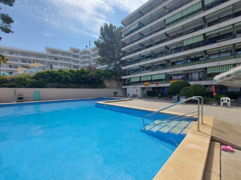 1 camera da letto Monolocale in vendita in Santa Ponsa con piscina - 245.000 € (Rif: 10020660)