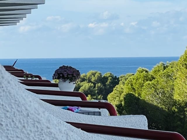 Estúdio para arrendar em Costa de la Calma, Calvià - 1 200 € (Ref: 10100122)