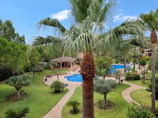 1 soverom Leilighet til leie i Santa Ponsa, Calvià med svømmebasseng garasje - € 1 850 (Ref: 10166378)