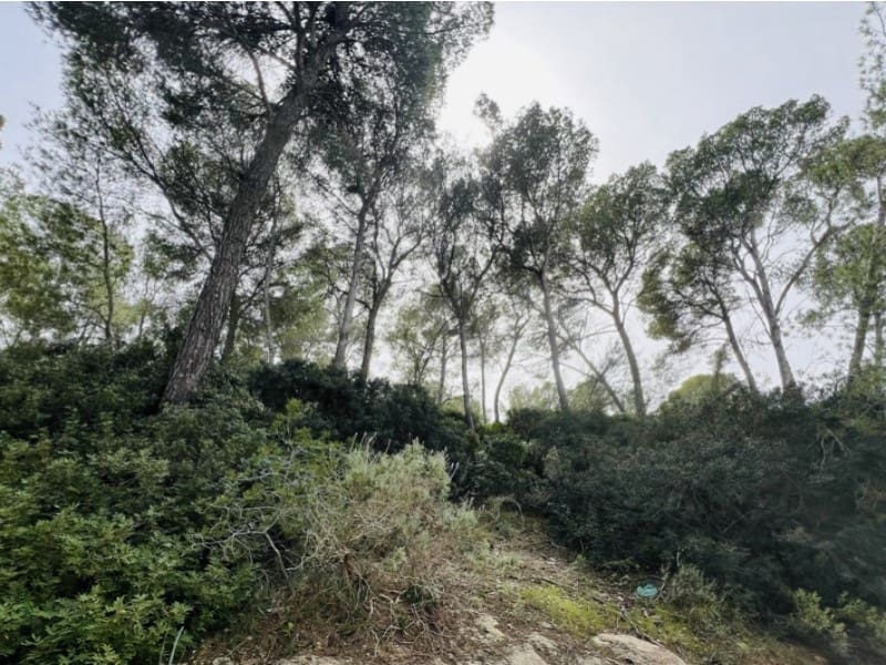 Terrain à Bâtir à vendre à Cala Vinyes / Cala Vinyas / Cala Vinas - 1 500 000 € (Ref: 8177038)