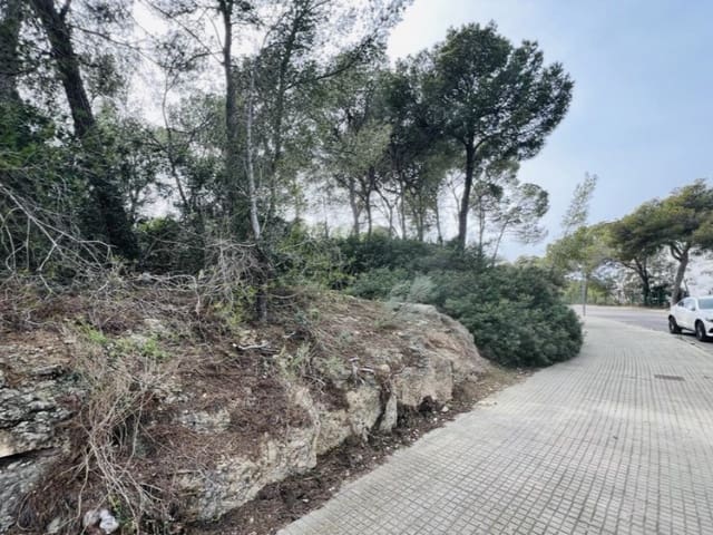 Building Plot for sale in Cala Vinyes / Cala Vinyas / Cala Viñas, Calvià - € 1,500,000 (Ref: 8177038)