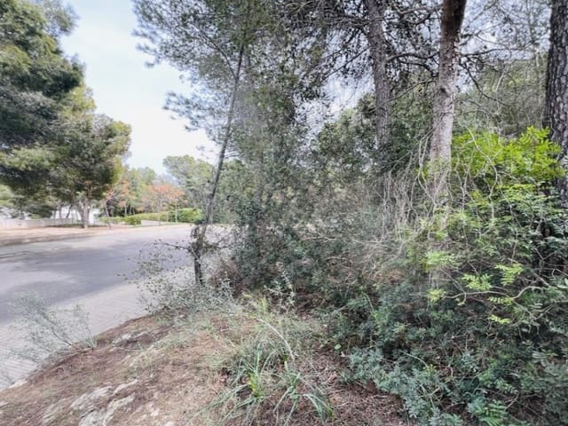 Building Plot for sale in Cala Vinyes / Cala Vinyas / Cala Viñas, Calvià - € 1,500,000 (Ref: 8177038)