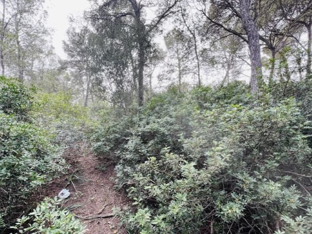 Building Plot for sale in Cala Vinyes / Cala Vinyas / Cala Viñas, Calvià - € 1,500,000 (Ref: 8177038)