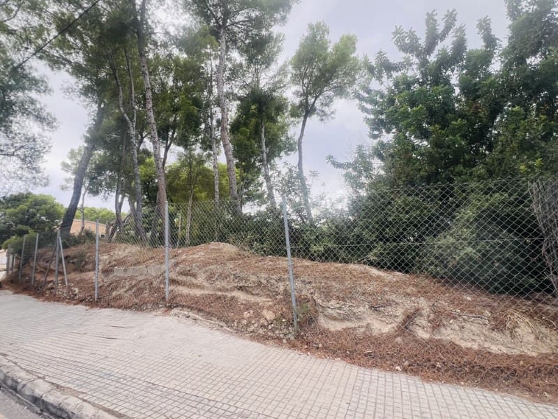 Byggetomt til salgs i Santa Ponsa - € 1 800 000 (Ref: 8533166)