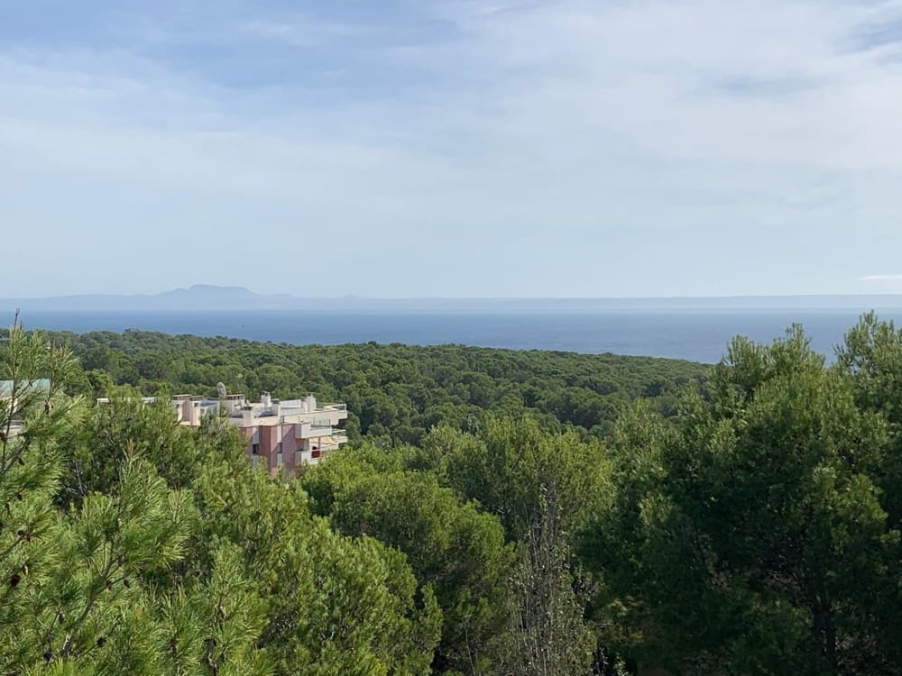 2 soveværelse Penthouse til salg i Sol de Mallorca med swimmingpool - € 740.000 (Ref: 8863662)