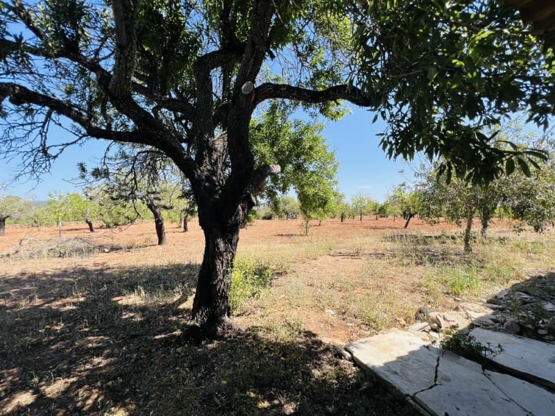 2 soveværelse Finca/Landehus til salg i Algaida med swimmingpool - € 980.000 (Ref: 8918456)