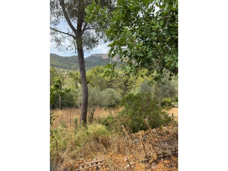 Bouwgrond te koop in Puigpunyent - € 350.000 (Ref: 9113130)