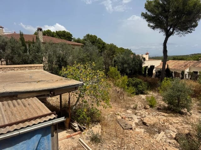 Byggetomt til salgs i El Toro / Port Adriano, Calvià - € 1 380 000 (Ref: 9113559)