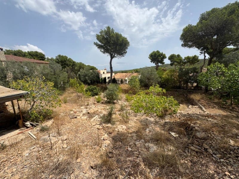 Byggetomt til salgs i El Toro / Port Adriano - € 1 380 000 (Ref: 9113559)