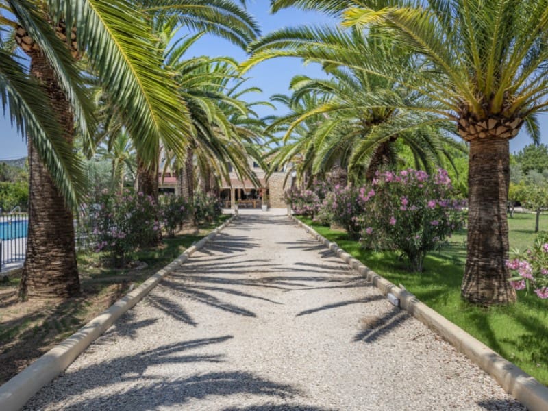 8 camera da letto Finca/Casa di Campagna in vendita in Binissalem con piscina - 3.900.000 € (Rif: 9148430)