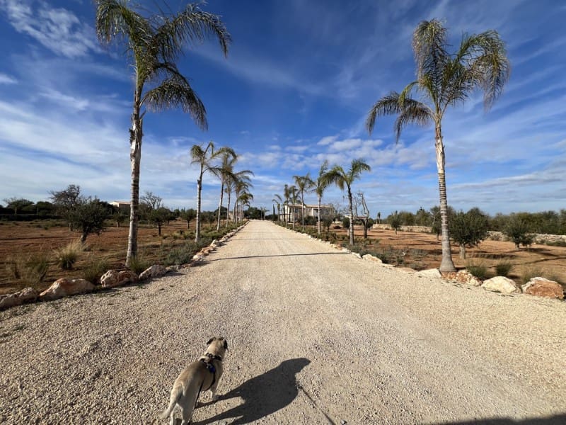 6 slaapkamer Finca/Landhuis te huur in Santanyi met zwembad - € 9.500 (Ref: 9256391)