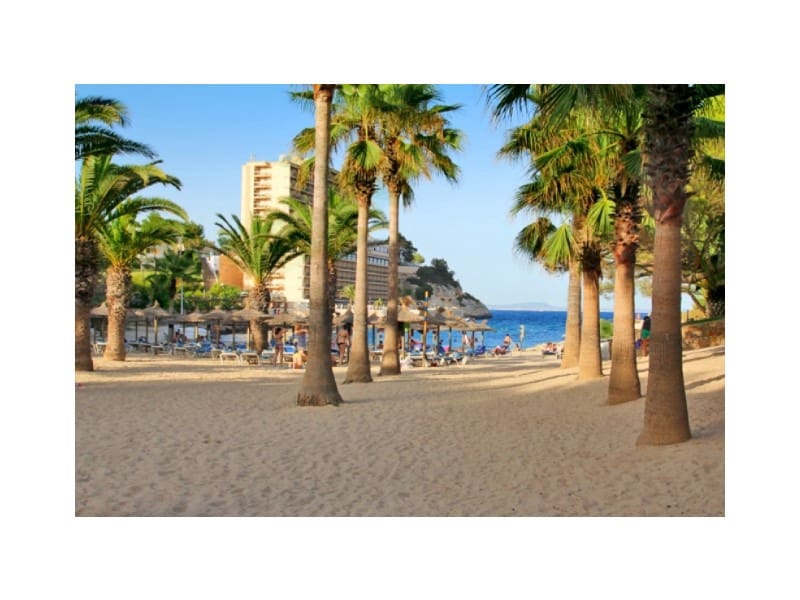 2 sypialnia Apartament na sprzedaż w Cala Vinyes / Cala Vinyas / Cala Vinas z basenem - 650 000 € (Ref: 9274719)