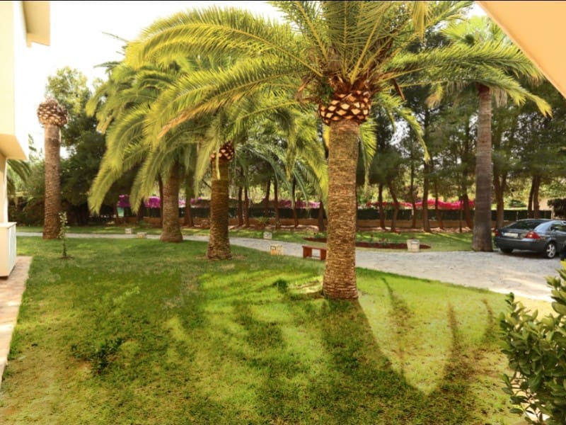 10 Zimmer Villa zu verkaufen in Palmanova mit Pool - 6.500.000 € (Ref: 9390987)