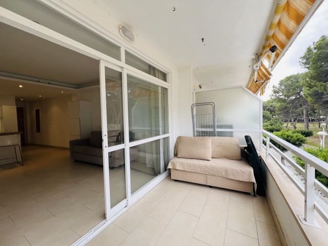 Studio for rent in Santa Ponsa, Calvià - € 1,100 (Ref: 9435031)