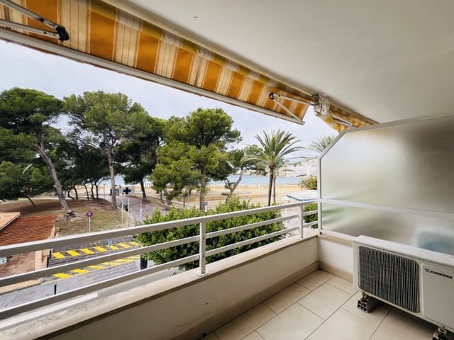 Studio for rent in Santa Ponsa, Calvià - € 1,100 (Ref: 9435031)