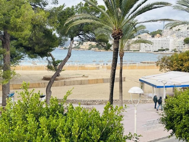 Studio for rent in Santa Ponsa, Calvià - € 1,100 (Ref: 9435031)