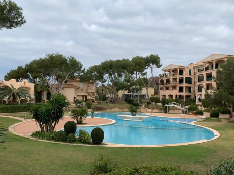 Studio for rent in Santa Ponsa with pool - € 1,150 (Ref: 9446682)