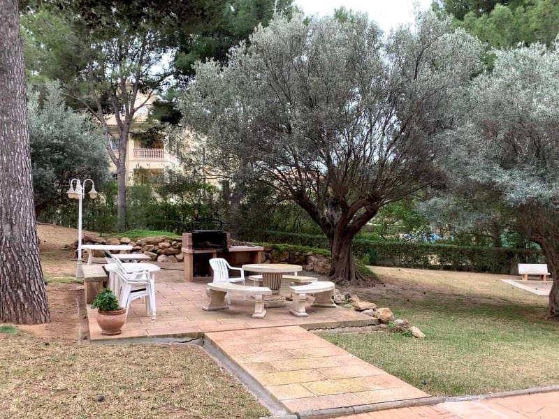 Studio for rent in Santa Ponsa with pool - € 1,150 (Ref: 9446682)