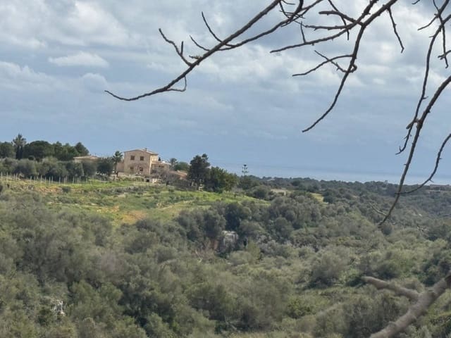 Building Plot for sale in Manacor - € 650,000 (Ref: 9504698)