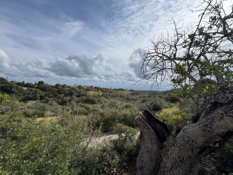 Building Plot for sale in Manacor - € 650,000 (Ref: 9504698)