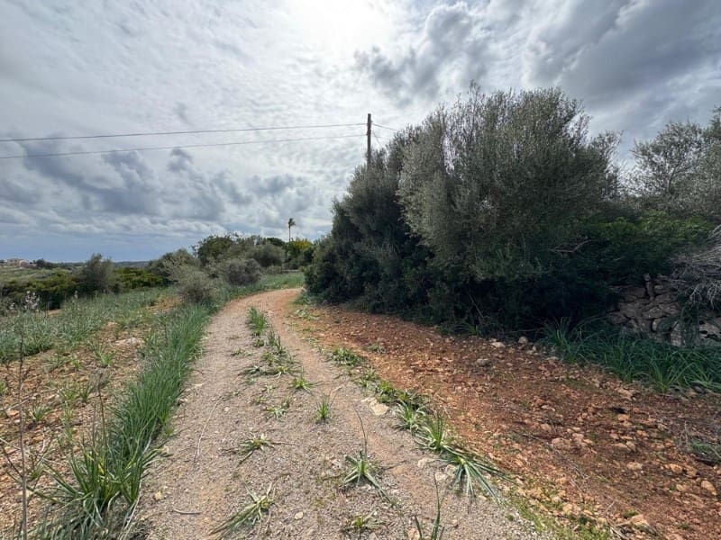 Building Plot for sale in Manacor - € 650,000 (Ref: 9504698)