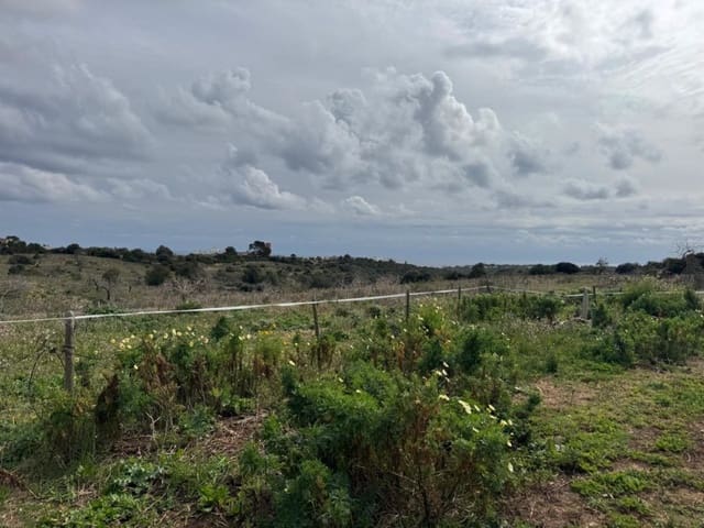 Building Plot for sale in Manacor - € 650,000 (Ref: 9504698)
