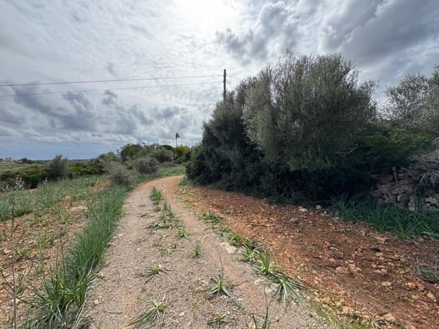 Building Plot for sale in Manacor - € 650,000 (Ref: 9504698)