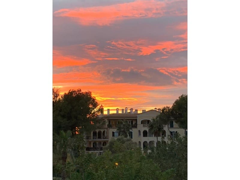 2 soveværelse Lejlighed til leje i Portals Nous - € 4.500 (Ref: 9625793)