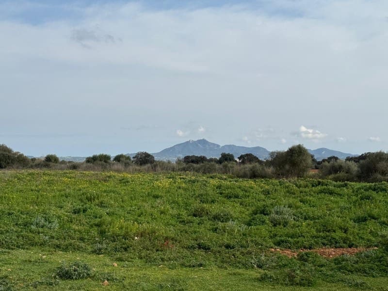 Finca/Casa Rural en Porreres en venta - 440.000 € (Ref: 9655970)