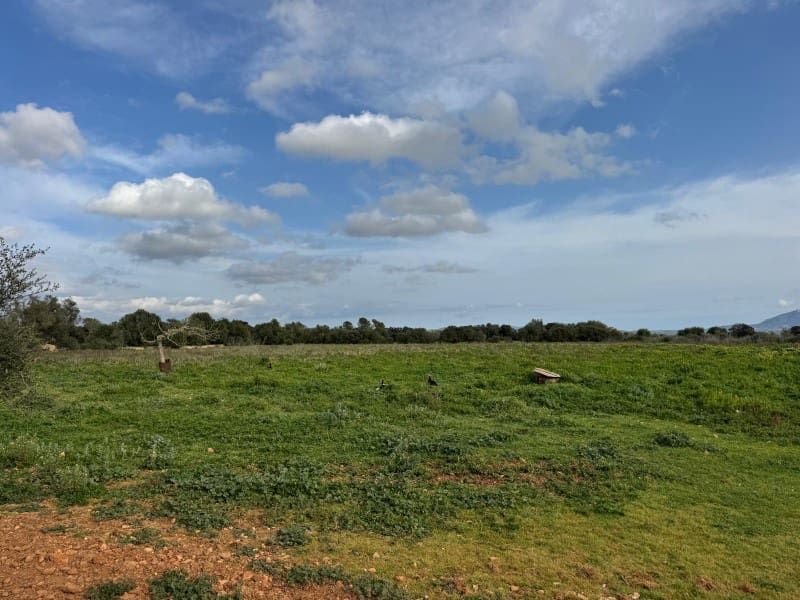 Finca/Casa Rural en Porreres en venta - 440.000 € (Ref: 9655970)