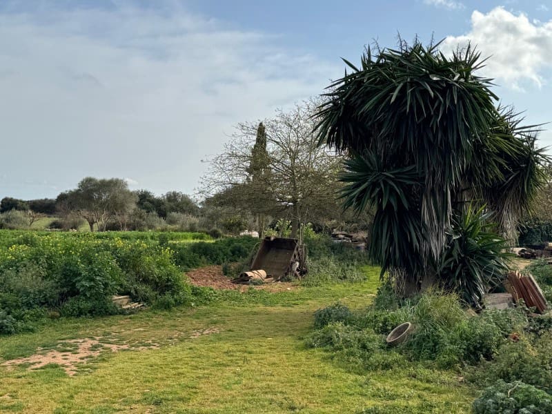 Finca/Casa Rural en Porreres en venta - 440.000 € (Ref: 9655970)