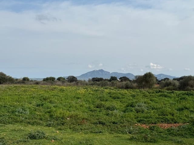 Finca/Casa Rural en Porreres en venta - 440.000 € (Ref: 9655970)