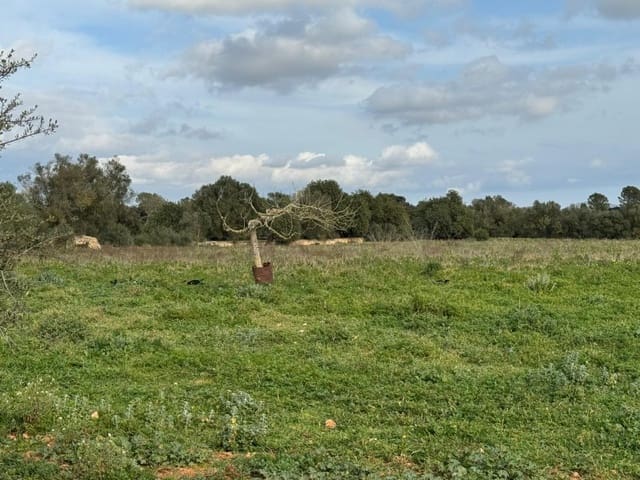 Finca/Casa Rural en Porreres en venta - 440.000 € (Ref: 9655970)